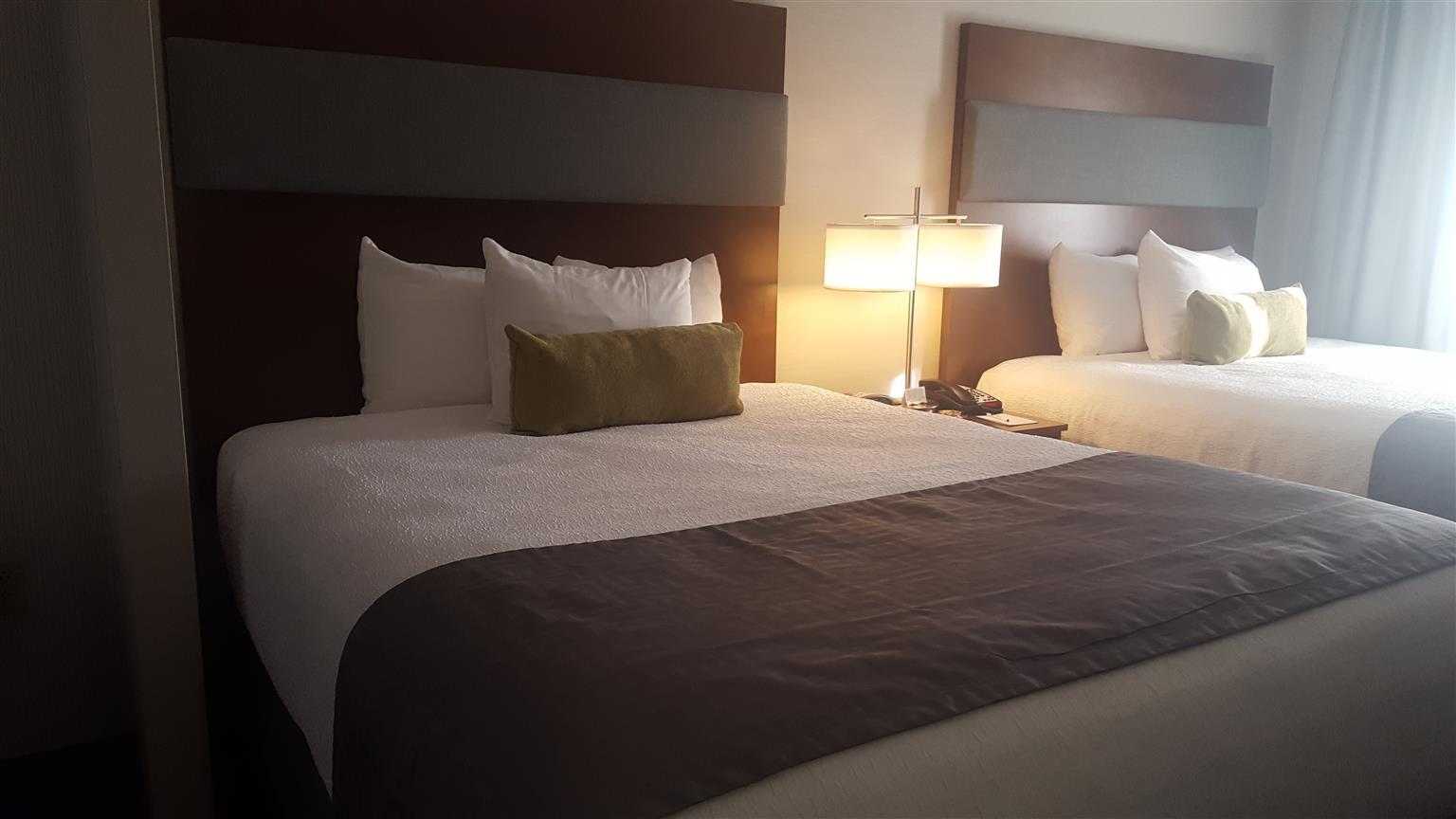Best Western Plus Boston Hotel Bagian luar foto